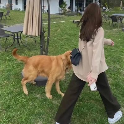 重回秘密花园
